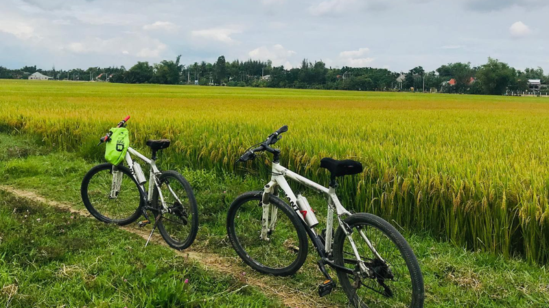 Tour chào buổi sáng Hội An (5)